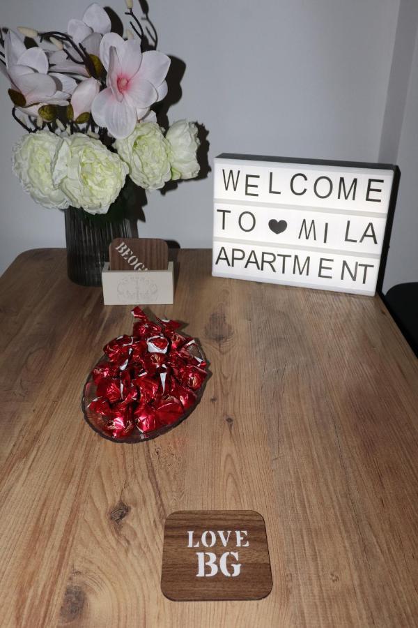 Apartman Mila 21 Белград Екстер'єр фото